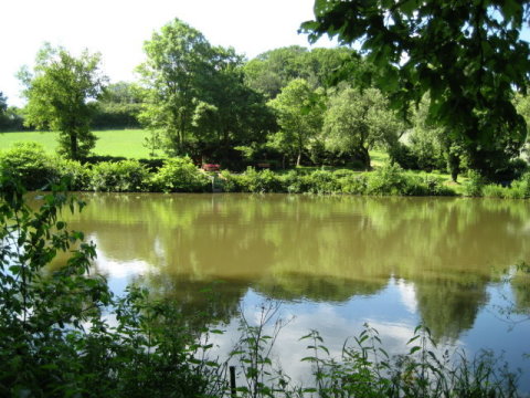Weiher Nr. 2 auf der 5-Weiher-Tour