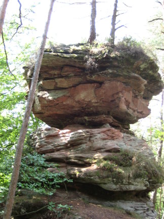 Mooskopf auf dem Dahner Felsenpfad