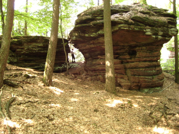 Wanderin auf dem Dahner Felsenpfad