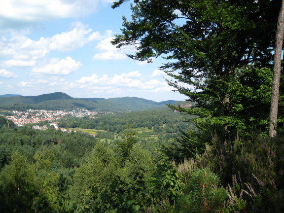 Lämmerfels auf dem Dahner Felsenpfad